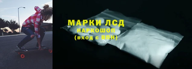 индика Вязники