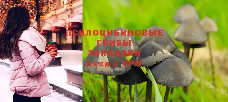 Псилоцибиновые грибы Psilocybe  Покачи 